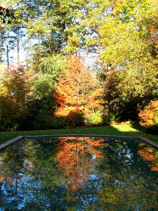 Illustration for article titled Shooting Challenge Fall Leaves Gallery 4